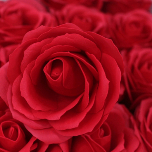 Seifenblüte Rose Rot – dekorative Duftseife