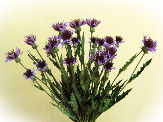 Kornblume als Seidenblume Ø 56 cm in 3 Farben