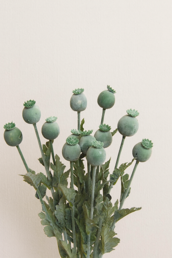 Seidenblume Mohn 4cm – mohngrau-grün, 73cm mit Draht
