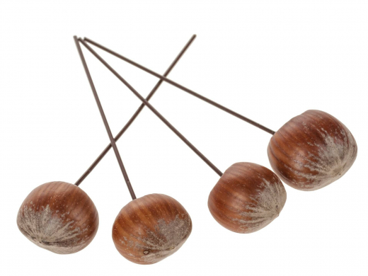Haselnuss am Drahtpick Ø2 cm – 5 Stück für Herbstdeko