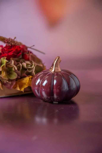 Kürbis "Boglia" – Edles Highlight in Lila