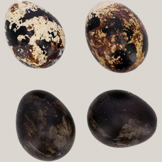 Wachteleier Osterdeko – Deko Eier 3 cm / 12er Set