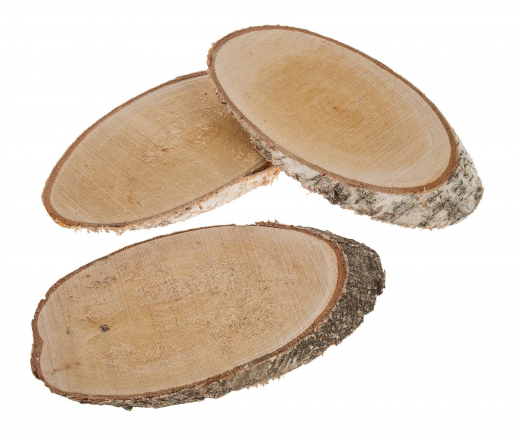 Birkenscheibe oval 24–28 cm – Naturdeko für den Herbst