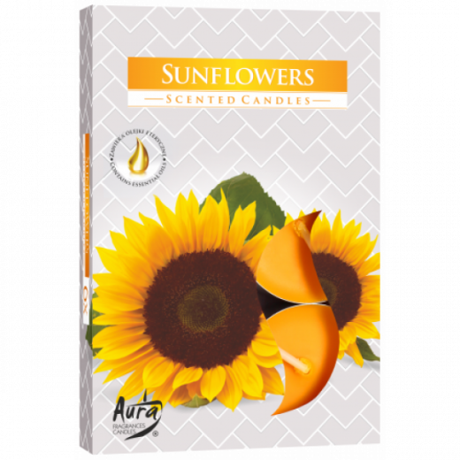 Duftteelichter Sonnenblumen 6er Pack