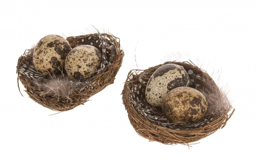 Kleines Nest mit Wachteleiern – 2er Set, Ø 7,5 cm