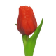 Latex Tulpen rot 30 cm – 7er Bündel, naturgetreu