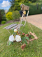 Holzleiter mit Seidenblumen – dekorativer Blickfang