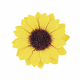 Kleine Sonnenblumenköpfe Ø 3,5 cm – 12 Stück Deko