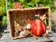 Weidekörbchen mit Kürbis & Igel – herbstliche Deko
