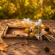 Liebevoll dekoriertes Holztablett mit Kürbis, Pilz & Eichhörnchen