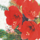 Servietten "Red Amaryllis" – 33x33 cm, 3-lagig, 20 Stück