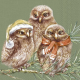 Lunch-Servietten "Winter Owls Green" – Charmante Tischdeko