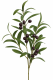 Olivenbaum-Ast 46 cm grün – künstlich & naturgetreu