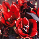 Servietten "Amaryllis" – Elegante Tischdeko für besondere Anlässe