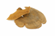 Baumschwamm natur 100 g – Naturmaterial zum Basteln