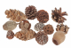 Naturlicher Zapfenmix natur 200 Gramm