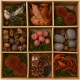 Deko-Set Naturmaterial – 9-teilig für Herbst & Basteln