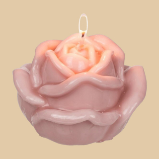 Kerze Rose in rosa und weiß