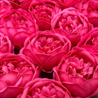 Seifenblüte Pfingstrose – dekorative Duftseife Ø 7,5 cm