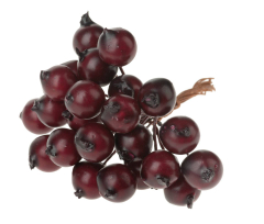 Beerenpick Nooa – Ø 8cm x 9 cm in Bordeaux & Herbstfarben