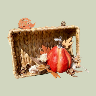 Weidekörbchen mit Kürbis & Igel – herbstliche Deko-Maße fehlen!!!!