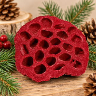 Rote getrocknete Lotusblüte Ø 9,5 cm – natürliche Dekoblüte