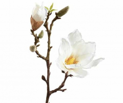 Magnolienzweig aus Seide 39 cm – Weiß oder Rosa