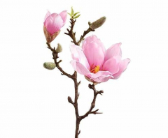 Magnolienzweig aus Seide 39 cm – Weiß oder Rosa