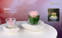 LED Windlicht Giore – Deko & Geschenk in Weiß-Creme