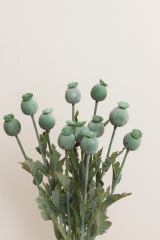 Seidenblume Mohn 4cm – mohngrau-grün, 73cm mit Draht