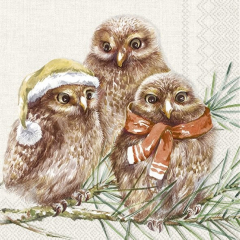 Cocktail-Serviette Winter Owls Creme – 3-lagig, 25x25 cm