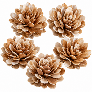 Sola Holzblumen Dahlie – Naturdeko 5er Set Ø ca. 6 cm