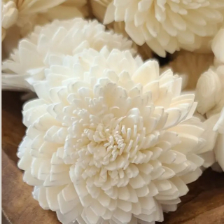 Sola Holzblume Zinnia Weiß – Naturdeko 5er Set