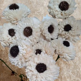 Sola Holzblume Zinnia Weiß/Braun – Naturdeko 5er Set