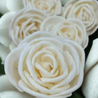 Sola Holzblume Bird Rose – Naturdeko 5er Set