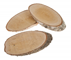 Birkenscheibe oval 24–28 cm – Naturdeko für den Herbst