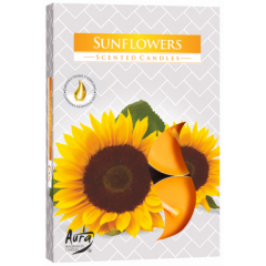 Duftteelichter Sonnenblumen 6er Pack