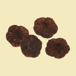 Trockenfrucht Paras Peeple rotbraun – 50g Naturdeko