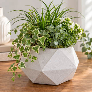 Blumentopf Beton Würfel 6,5x10 cm modern Deko