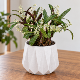Blumentopf Beton rund 10x12,5 cm weiß modern Deko