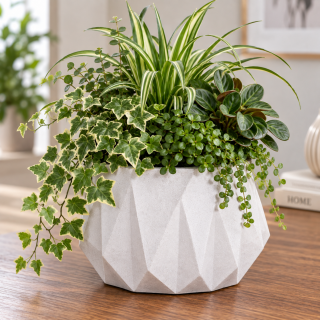 Blumentopf Beton rund 10x12,5 cm weiß modern Deko