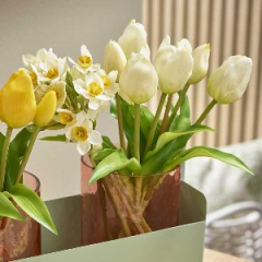 Tulpenbündel &quote;Frühlingserwachen&quote; – 7 Creme-Grüne Latex-Tulpen, 30 cm